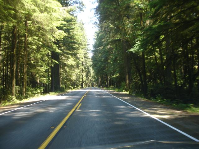 031 ]T Hwy 1